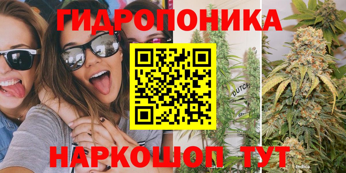 Каннабис план Донской